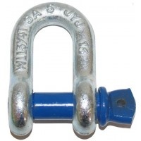 Lion S Grade D Shackle Galvanised