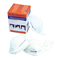 Lion 50 Piece Dust Mask Pack